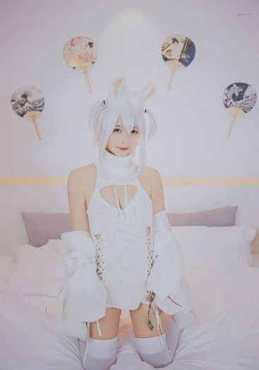 汪汪队中文版全100集动画片免费_超清迅雷电影在线