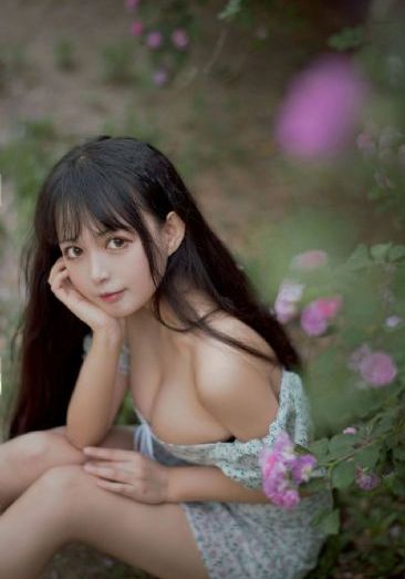 功夫姐妹全集_国产剧免费观看电视剧