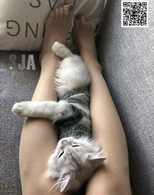 美丽的他日剧第一季_国语版在线观看免费